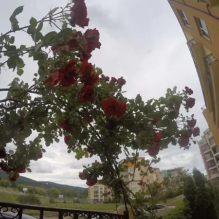 Apartment Vp Amadeus 19