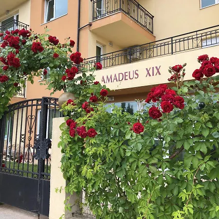 Vp Amadeus 19 *